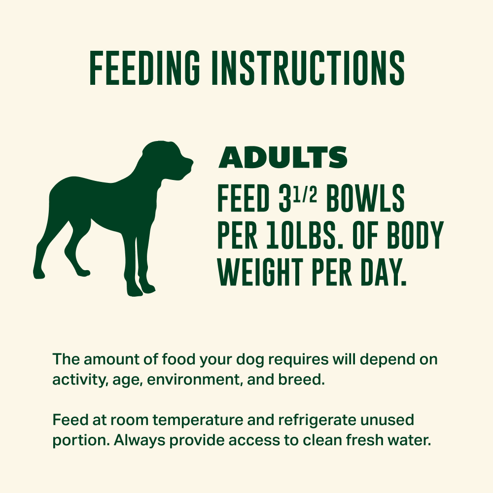 Your Pet’s Kitchen – 3.5oz Chicken Noodle Stew Shreds