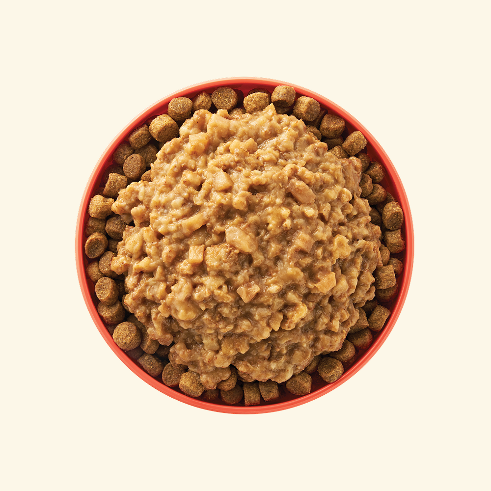 Your Pet’s Kitchen – 3.5oz Breakfast Oatmeal with Apple Crisp Flavor in Sauce