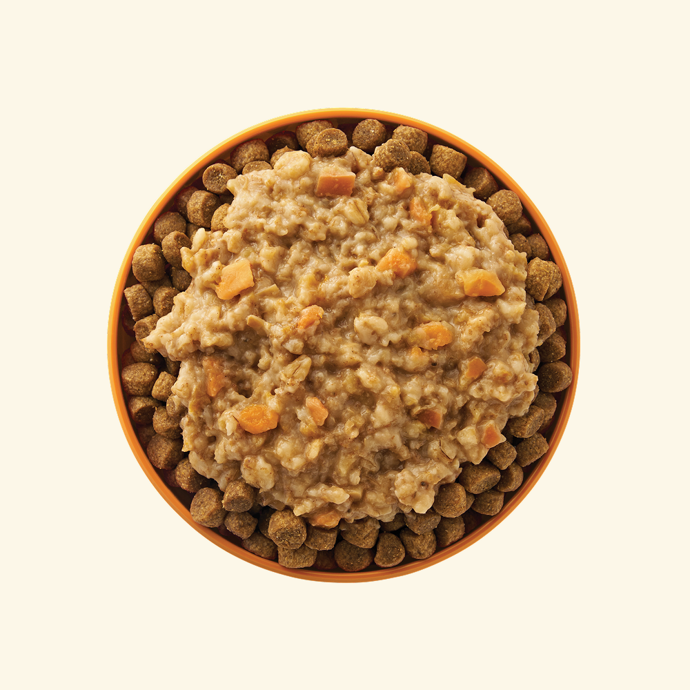 Your Pet’s Kitchen – 3.5oz Breakfast Oatmeal with Pumpkin Spice Flavor in Sauce