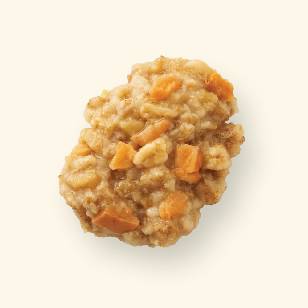 Your Pet’s Kitchen – 3.5oz Breakfast Oatmeal with Pumpkin Spice Flavor in Sauce